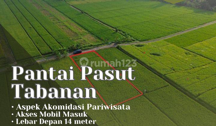 Dijual Tanah Pantai Pasut Tabanan View Sawah 1