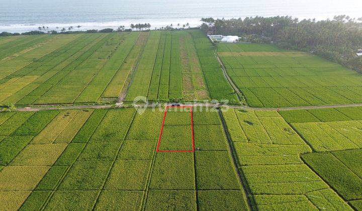 Dijual Tanah Pantai Pasut Tabanan View Sawah 2