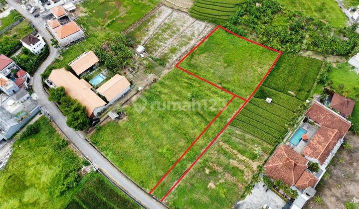 Dijual Tanah Murah Jalan Abasan Tibubeneng Canggu  1