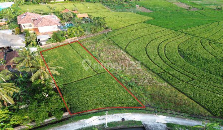 Land for sale in Tibubiyu Pasut Tabanan Villa Environment 2