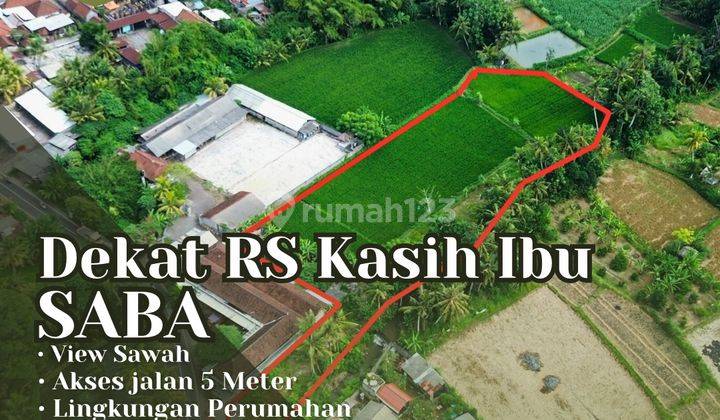 Dijual Tanah Berlokasi jalan utama Desa Saba Gianyar 1