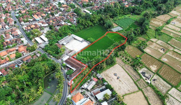 Dijual Tanah Berlokasi jalan utama Desa Saba Gianyar 2