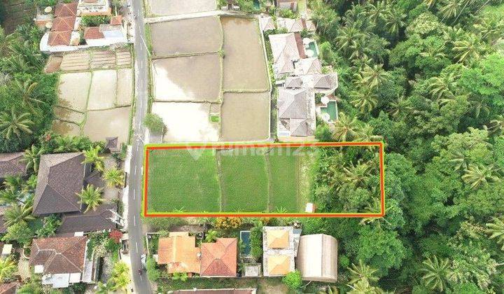 Special Land in the Main Road Area of Tirta Tawar Ubud 2