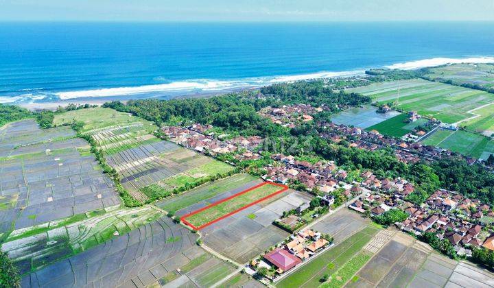 Dijual Tanah View Terbaik Dekat Pantai Kelating Tabanan 2