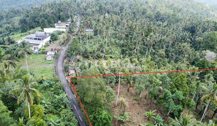 Tanah Kawasan Eco Wisata Desa Gunung Salak Tabanan Depan Restaurant Manca 2