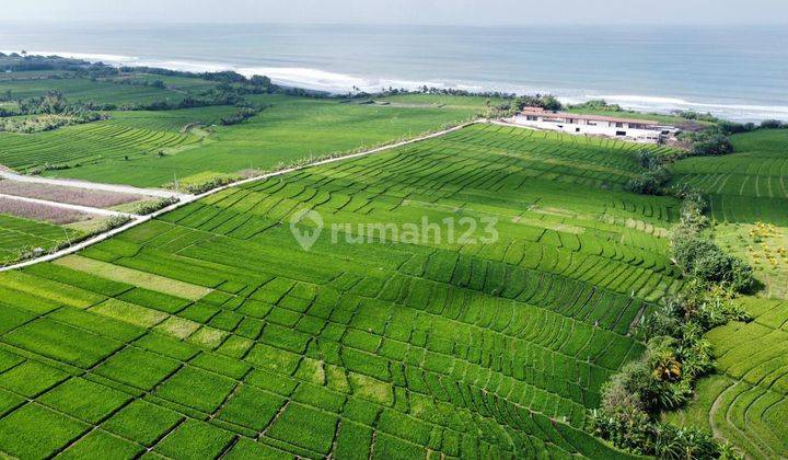 Premium Land Pantai Pasut 550meters Walking Distance To The Beach 2