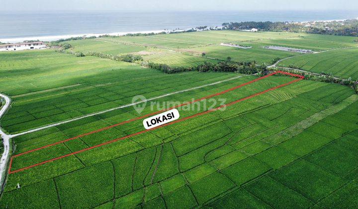 Premium Land Pantai Pasut 550meters Walking Distance To The Beach 1