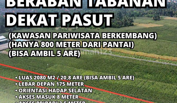 Tanah Kavling Murah Beraban Pasut Tabanan Itr Pariwisata 1