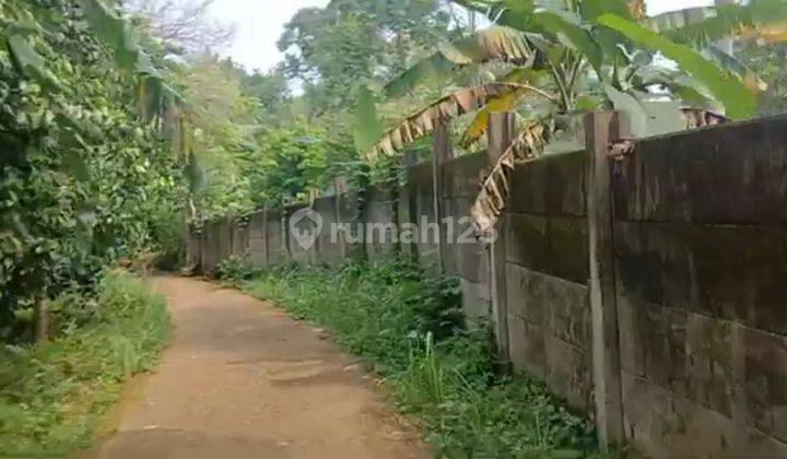 Dijual murah sekali Tanah kebun buah2an di Cinangka Serang. 1