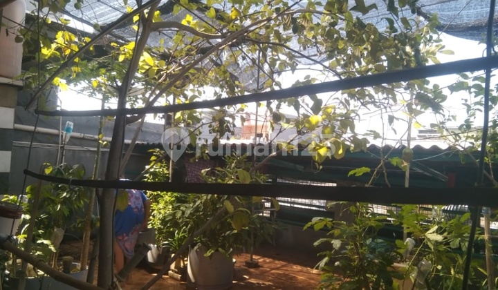 For sale, shop house in Jembatan Besi, West Jakarta. 2