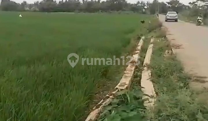 Dijual Tanah Di Sepatan Tangerang Dijual Tanah Di Sepatan Tangerang