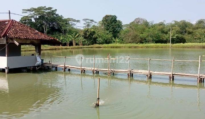 Dijual Lahan.kolam.ikan Di Subang Jawa Barat 2