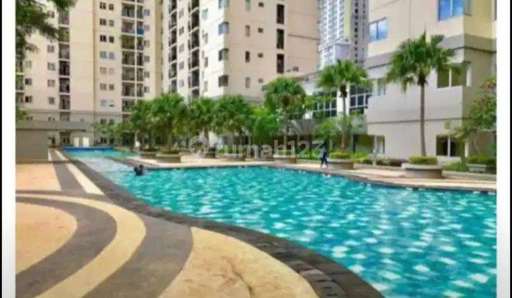 Apartemen Maple Park Sunter Studio Full Furnished View Kolam  1