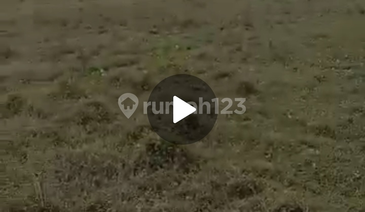 Tanah Cibarusa Murah Shm 5ha 1.5jtper Meter