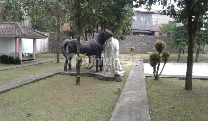 Investasi Bagus! Villa Cantik 2 Lantai Turun Harga Dari 7M Jd 3,6M di Cipanas 9