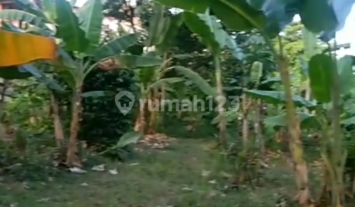 Land in Lenteng Agung 4775m2 Suitable for Housing, Cafe, etc. Land in Lenteng Agung 4775m2 Suitable for Housing, Cafe, etc.