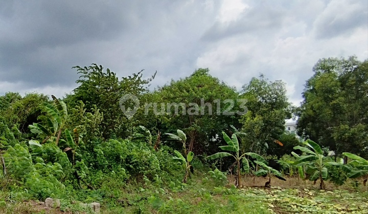 Dijual Cepat Kavling 2400 Meter di Deltamas Cikarang Dekat Tol