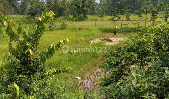 Dijual Murah Tanah 5500m2 di Tigaraksa Harga Nego Lokasi Bagus 1