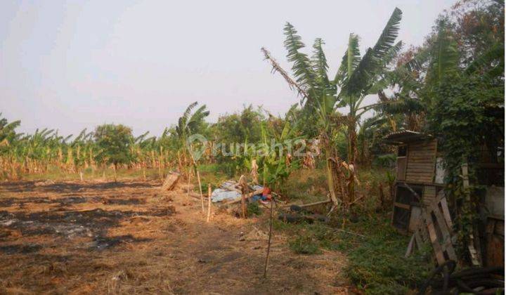 Dijual Tanah 16.600m2 di Jalan Lingkar Luar Barat Harga Nego  1