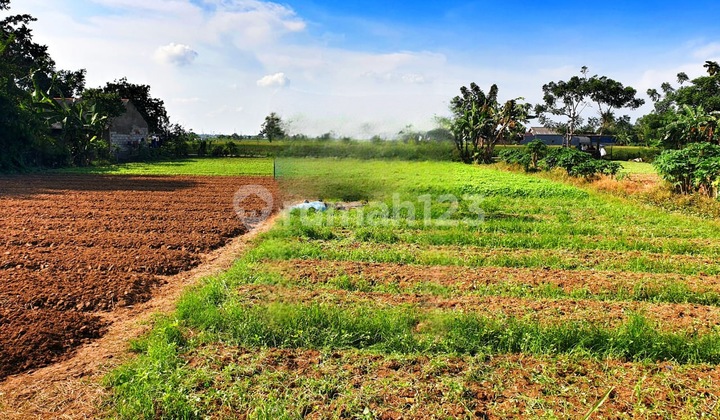 Dijual Murah Tanah 2.478m2 Di Bekasi Lokasi Strategis Harga Nego