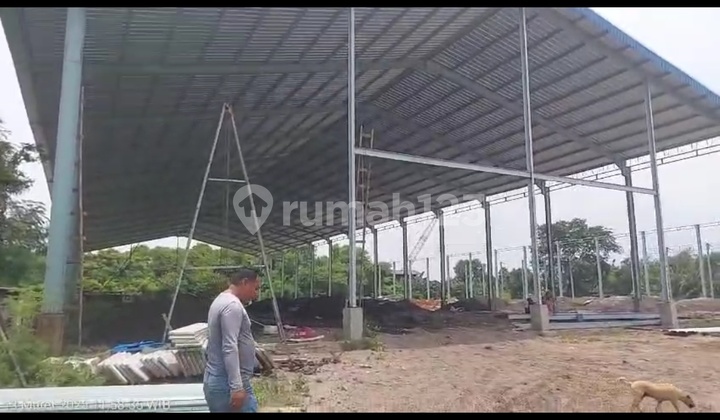 Disewakan Gudang Baru Dikawasan Industri Jatake Tangerang Disewakan Gudang Baru Dikawasan Industri Jatake Tangerang