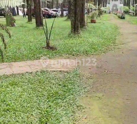 Dijual Tanah Produktif Tanaman Cengkeh Di Bojong Tegal 2