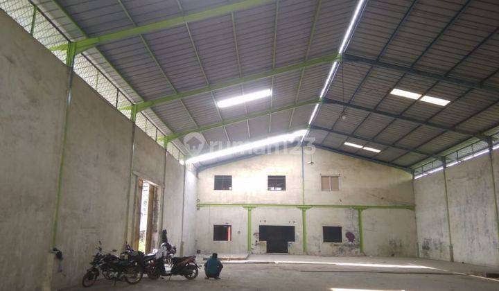 Disewakan gudang kebun jeruk jakbar 1