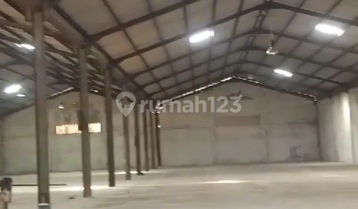 For Rent: 3-Unit Warehouse in Pantai Indah Dadap, Tangerang