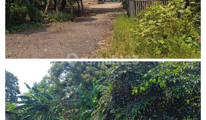 Dijual Murah Tanah Di Batu Ceper Tangerang Dijual Murah Tanah Di Batu Ceper Tangerang