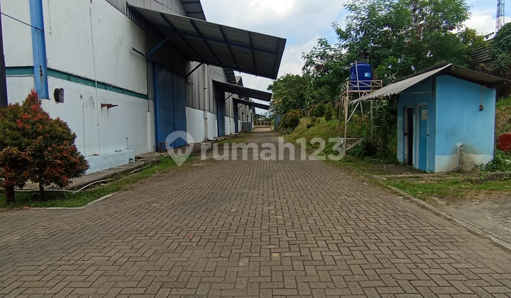 Warehouse for Rent with Industrial Permit in Cikupa Tangerang Warehouse for Rent with Industrial Permit in Cikupa Tangerang