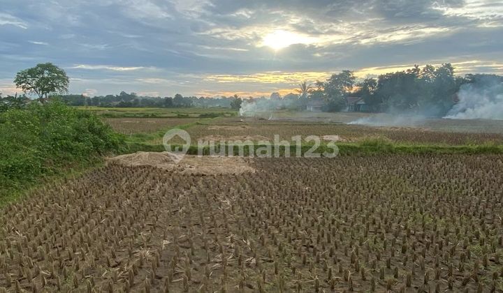 Dijual Tanah Padat Sawah Legok Tangerang Dijual Tanah Padat Sawah Legok Tangerang