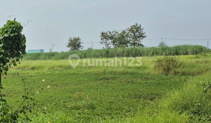 Dijual Tanah Strategis Murah di Prambon Sidoarjo Jawa Timur 1
