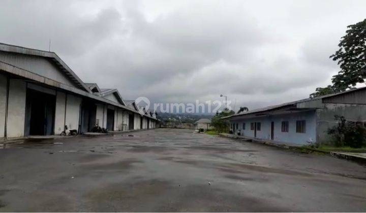 Pabrik Aktif Ciawi Bogor Pabrik di Jl. Teluk Pinang , Ciawi SHM - Sertifikat Hak Milik Furnished 45000 m² 2