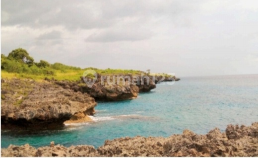 Kavling Untuk Resort Ekslusif Dengan View Hindia Ocean Di Sumba