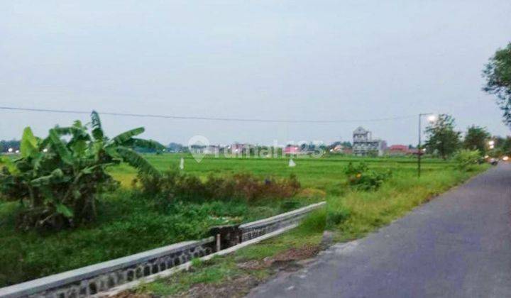 Tanah Sawah Luas Dekat Kampus Uin Surakarta  1