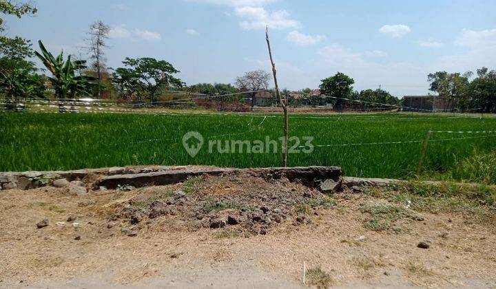 Tanah Sawah Zona Kuning 3.009 m² di Sukoharjo, Sukoharjo Kota 1