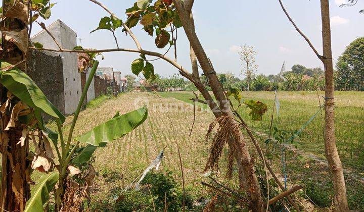 Tanah Pekarangan Tepi Jalan Raya 1.720 m² di Klaten Utara,klaten 2