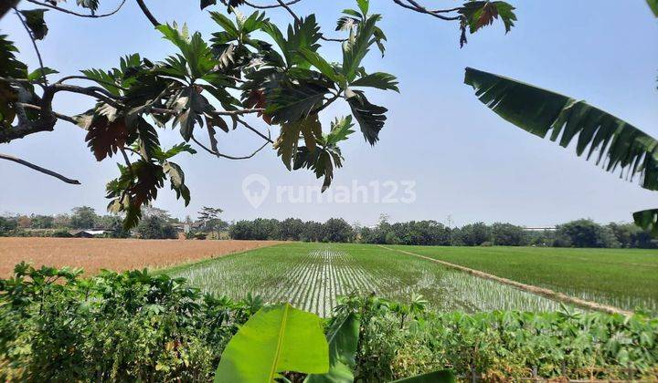 Lahan Strategis Cocok Untuk Perumahan Dekat Fly Over Palur 2