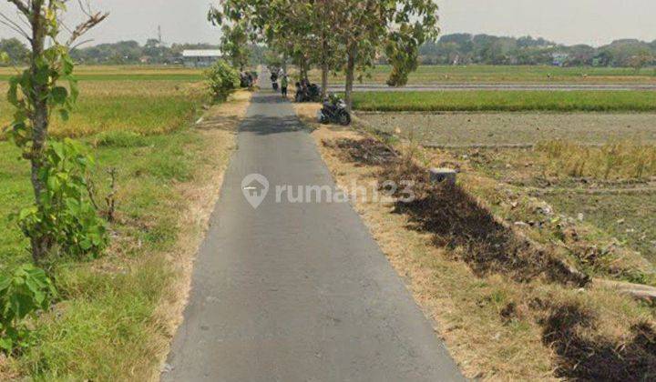 Tanah Sawah Luas Dekat Kampus Uin Surakarta  2