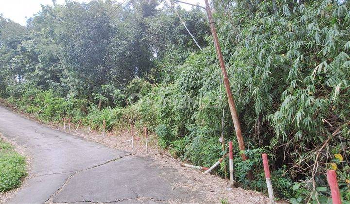 Tanah Pekarangan Luas Dekat Tempat Wisata Sangiran  2