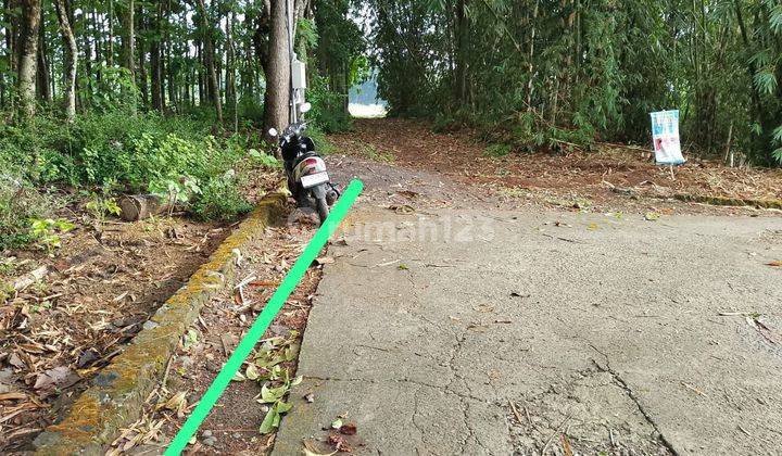 Tanah Pekarangan Kebun Jati Murah Di Boyolali  1