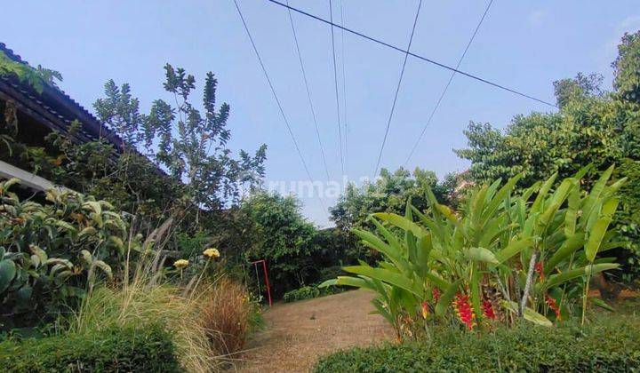 Hitung tanah!!! Rumah tua di gunung mas ciumbuluit 2
