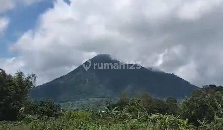 Dijual Tanah view Gunung di Kopeng 2