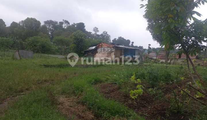 Dijual Tanah Cocok Untuk Cafe Dan Resort 1