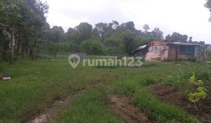 Dijual Tanah Cocok Untuk Cafe Dan Resort 2
