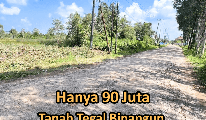 tanah murah tegal binangun dekat opi mall 1