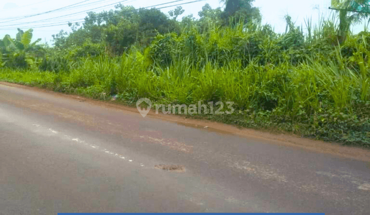 Dijual Tanah Murah Tepi As Musi 2 Cocok Untuk Usaha  1