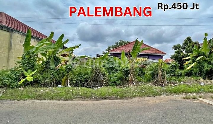 Tanah kancil putih tembus ke macan kumbang