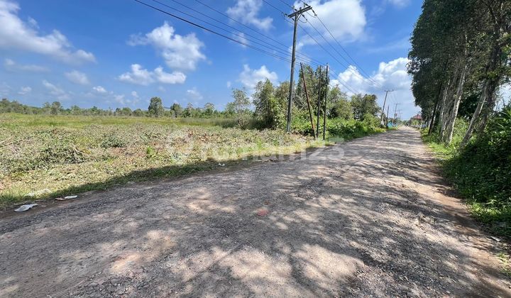 tanah murah tegal binangun 75 juta 1