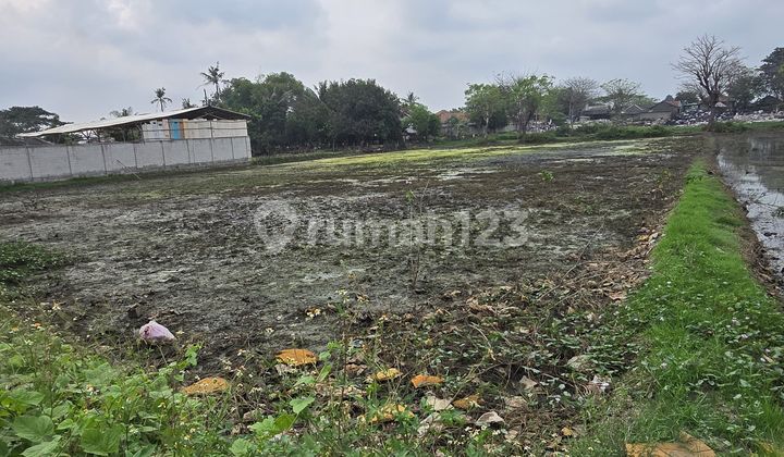 For Sale: Rajeg Industrial Zone Plots Ready to Build